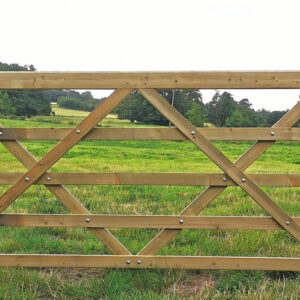 Drive and Field Gates